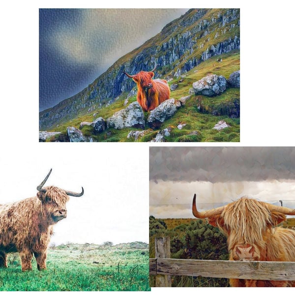 Pack of 3 Highland Cow Art Cards A5