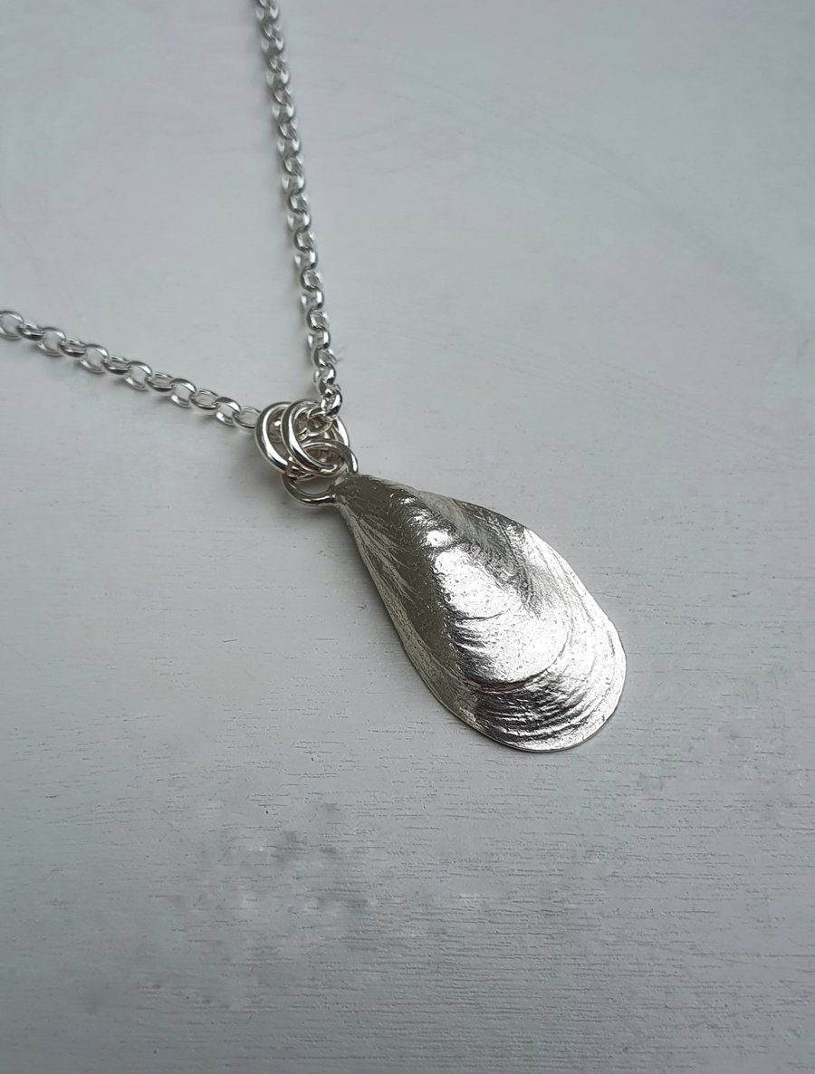 Wee mussel shell Necklace.