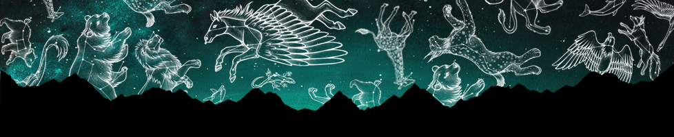 Lyndsey Green Illustration