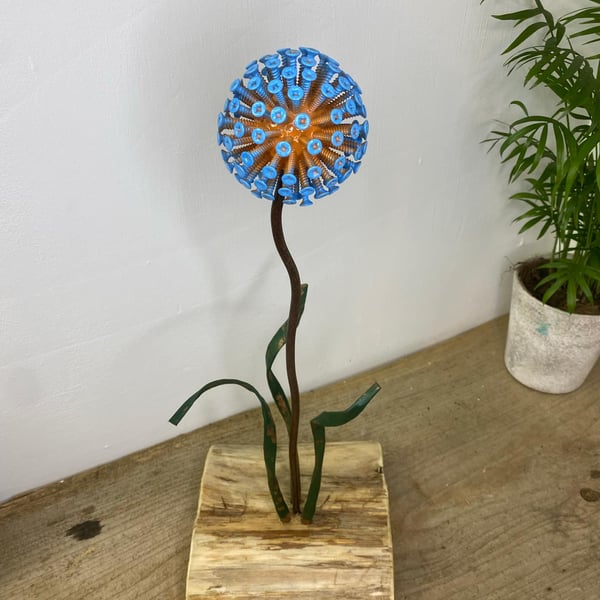 Yellow & Blue Tip Dandelion Feature