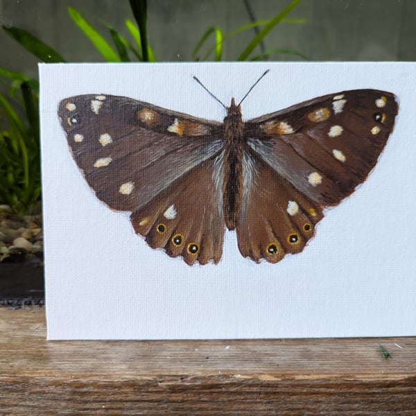 Original Speckled Wood Butterfly Acrylic Painting 
