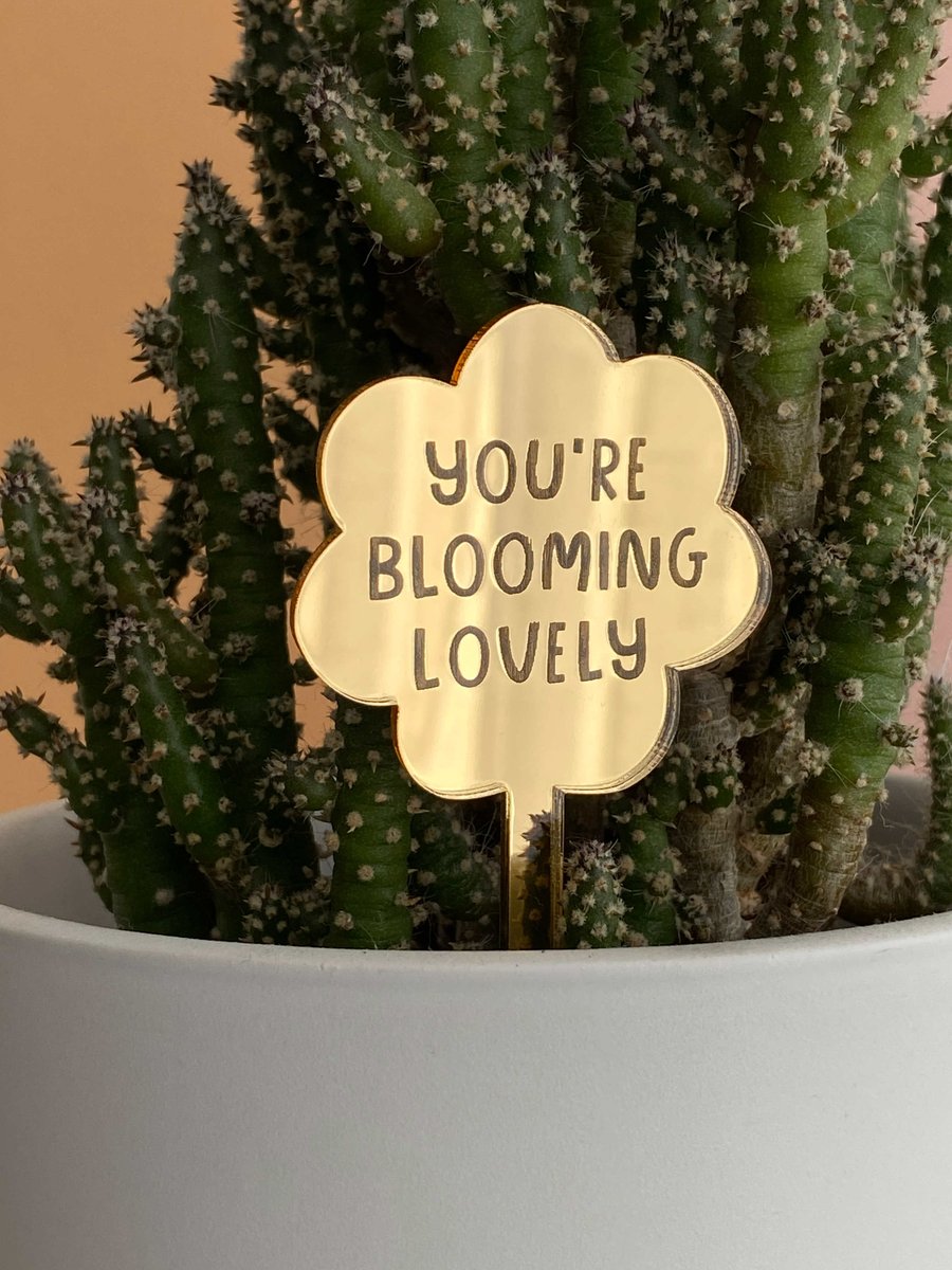 Plant decoration plant stake, gifts for plant lovers, motivational spring decor