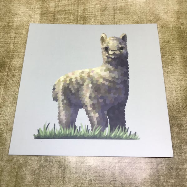 Alpaca Square Post Card Print