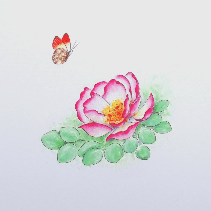 Art Print 'Butterfly Rose'