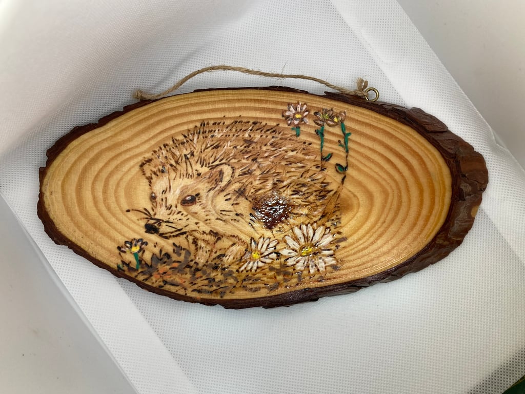 Hedgehog wooden wall plaque hand engraved 
