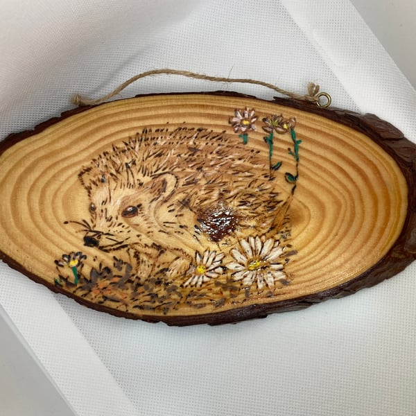 Hedgehog wooden wall plaque hand engraved 