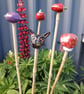 Cane Tops - Image 1