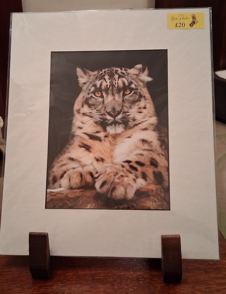 SNOW LEOPARD MOUNTED PHOTO