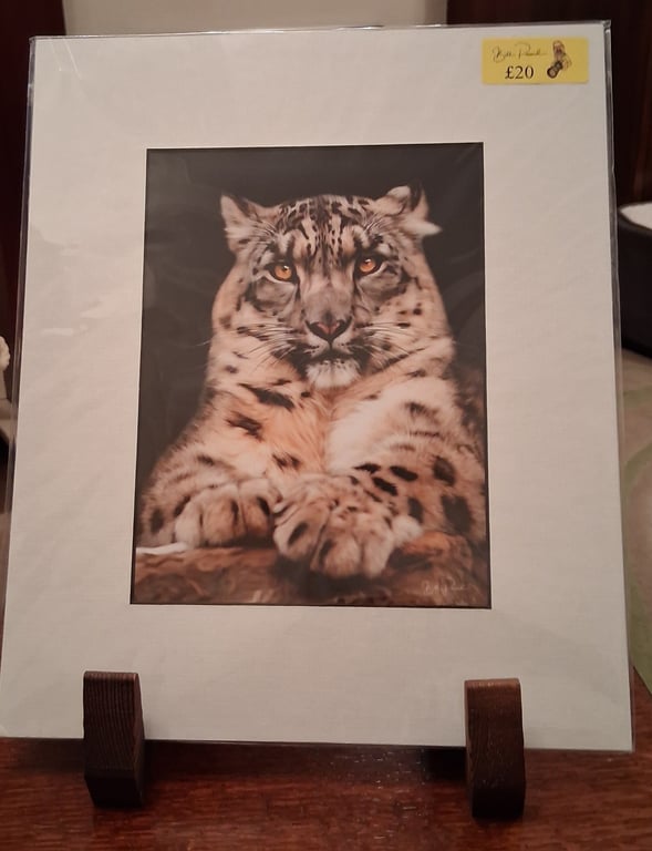 SNOW LEOPARD MOUNTED PHOTO
