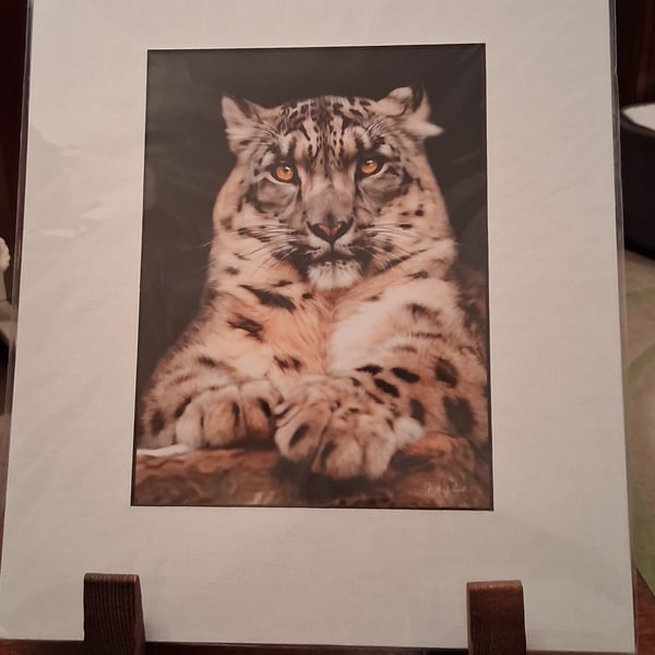 SNOW LEOPARD MOUNTED PHOTO