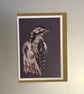 Great Spotted Woodpecker A5 Greeting Card