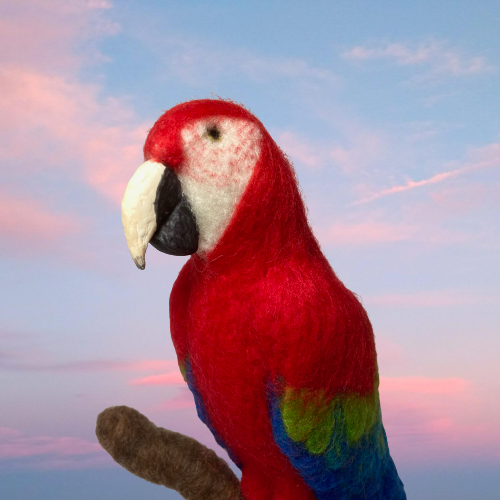 Needle felted Parrot