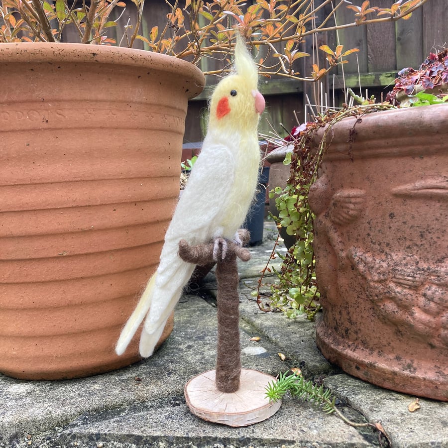 Needle felted white cockatiel sculpture