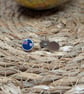 Anguilla Flag Map Pin – Caribbean Travel Map Push Pin for Wooden Maps, Anguilla - Image 2
