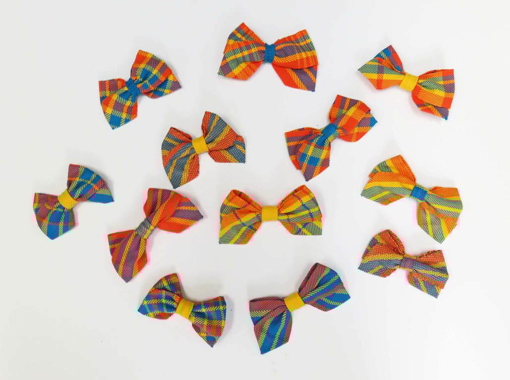 Colourful Bow Clips 