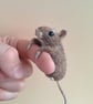 Mischief Mouse - Rufus - Image 9