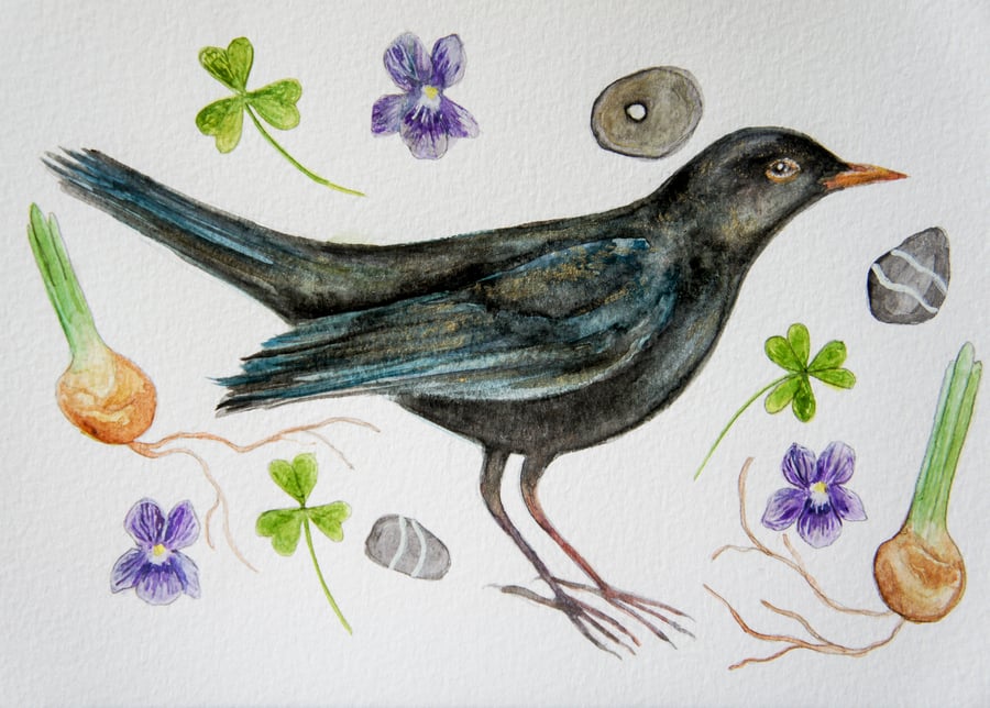 Blackbird Watercolour Painting