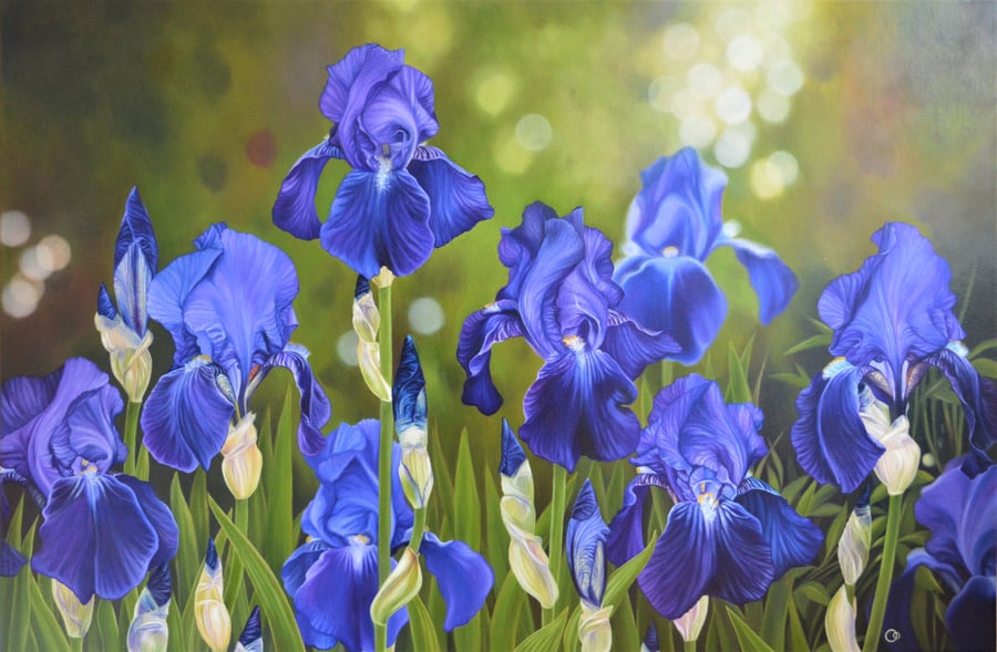 "Glorious Spring" Digital Print - Purple Bearded Irises Flowers