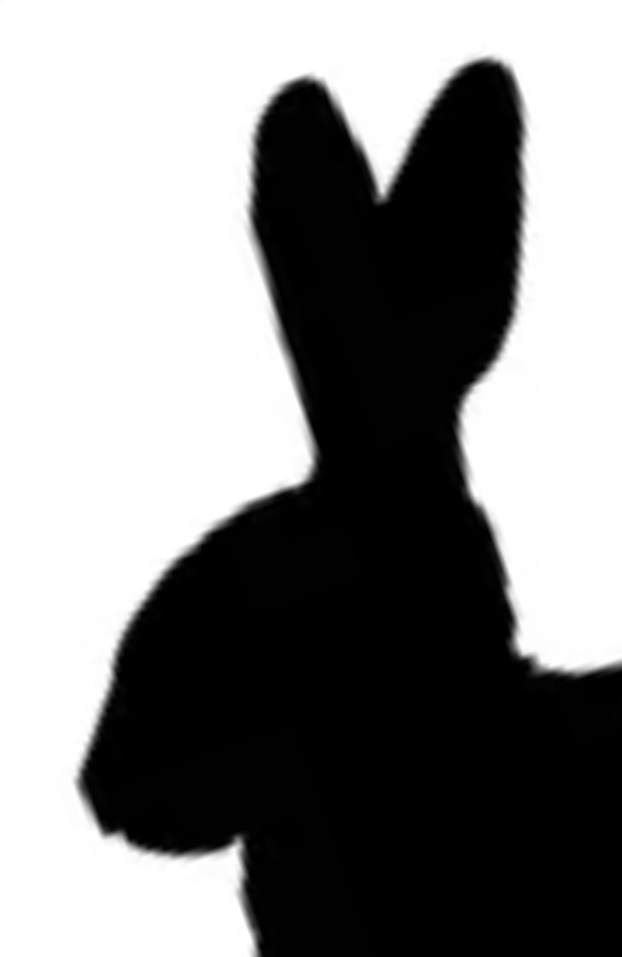 Custom hare head for 100 pounds. Work with me and pay half up front.