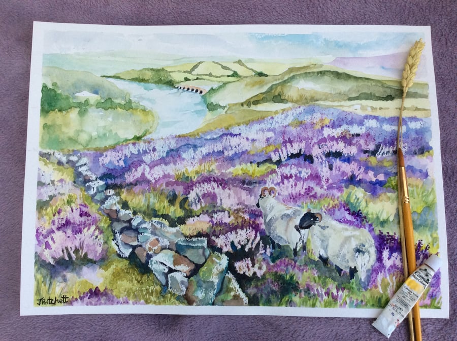 Watercolour painting of hills covered with purple heather and two sheep.