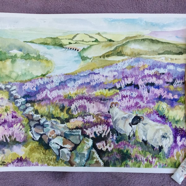 Watercolour painting of hills covered with purple heather and two sheep.