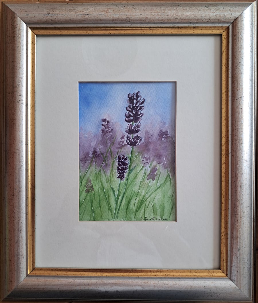 A Lavander Flower in Watercolour.   An Original painting