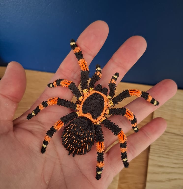 Spooky Halloween Spider