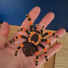 Spooky Halloween Spider