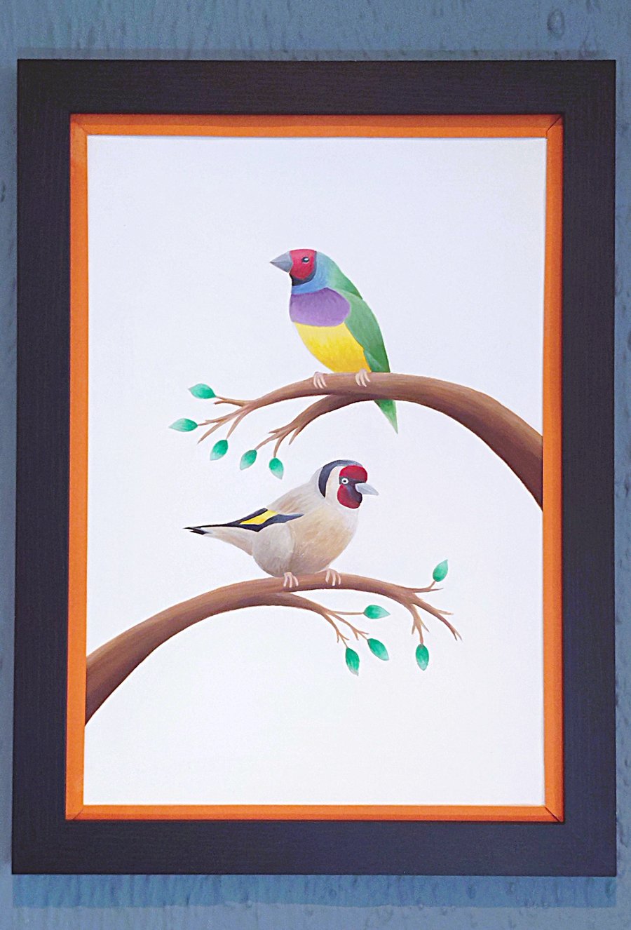 Handmade Framed A3 Print Colourful Gouldian GoldFinch Orange Border Wallart