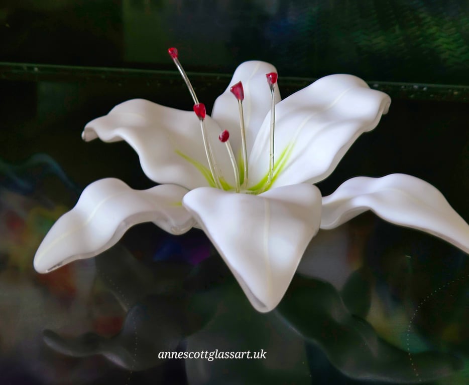 Handmade Fused Glass White Matte Lily 2 of 3 with Wall-mounting Bracket. 