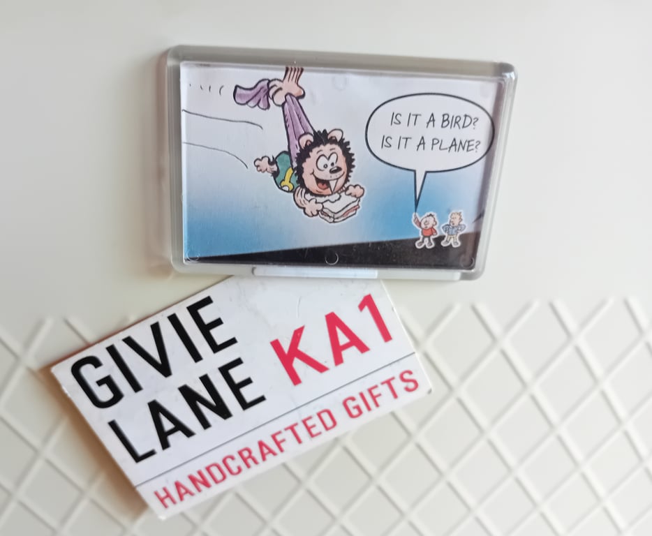 Comic Magnet - Is It A Bird? 