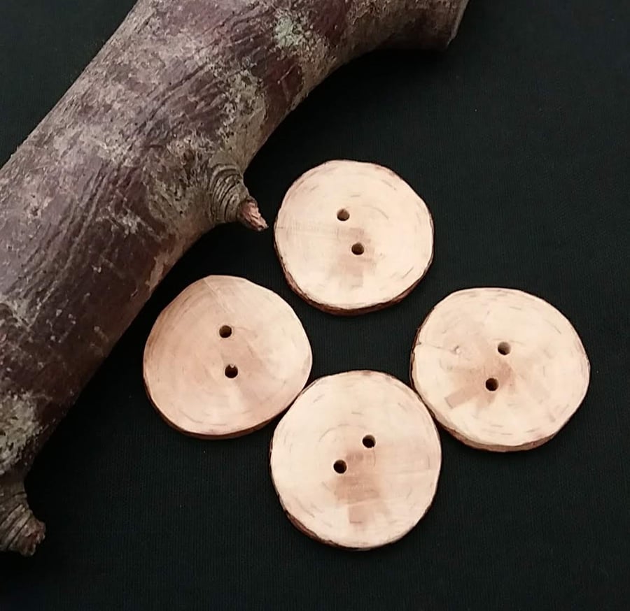  Set of four tree branch buttons, Blackthorn