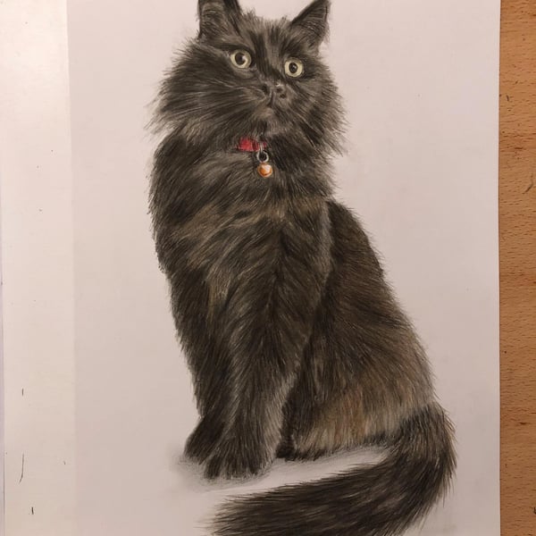 A3 Custom Pet Portrait made with Coloured Pencil