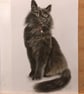 A3 Custom Pet Portrait made with Coloured Pencil - Image 1