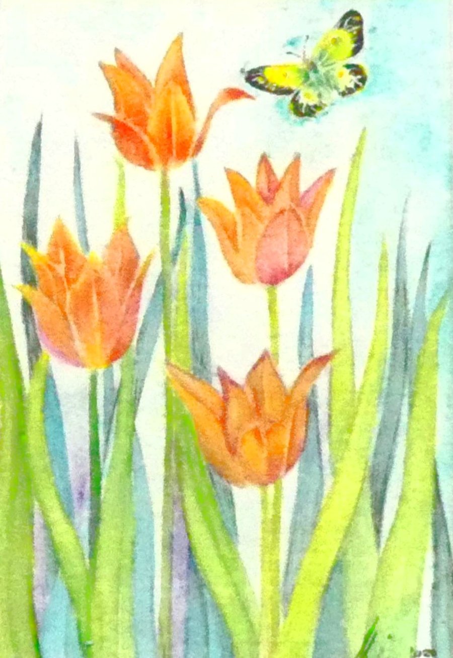 Framed Small Tulips and Butterfly Original Watercolour
