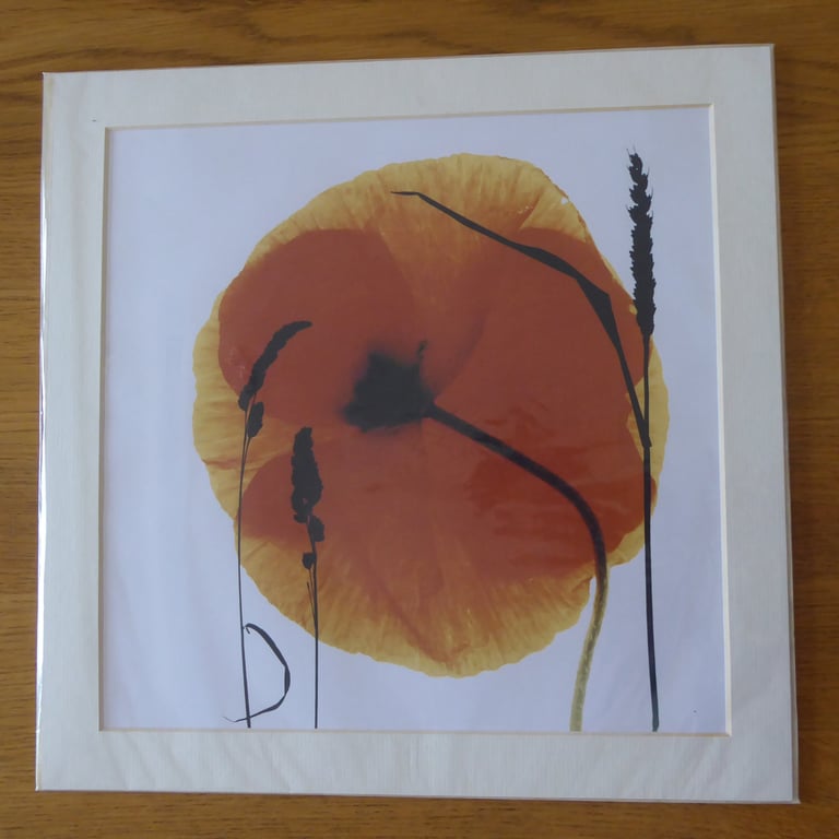 Summer Print from Original Photogram - Ivory mount to fit 12 inch square frame