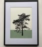 Ashdown Pine no.58, A4 original artwork, Green  - Image 4
