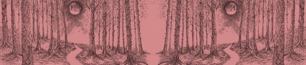 Michelle Shore Illustration