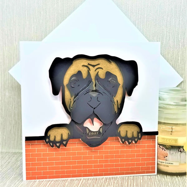 Unique boxer dog looking over a wall card