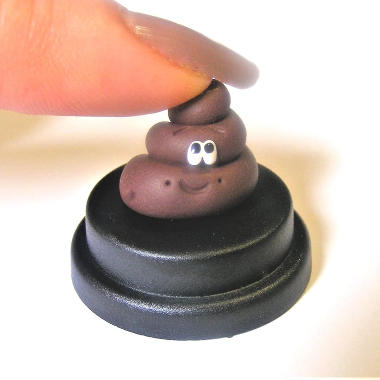 Pet Poo, Pet Poop, Pet Crap,Shithead gift, Turd gift