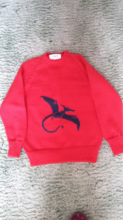Pterodactyl Jumper made to order to fit any child in machine wash wool or cotton