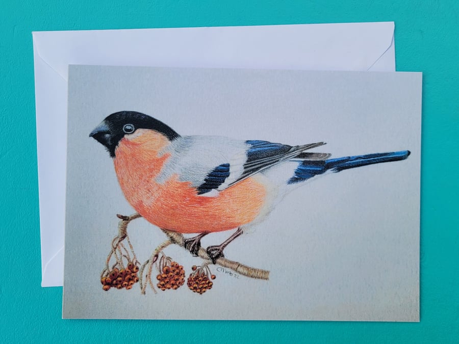 Pack of 10 bullfinch cards. They make perfect blank greetings cards
