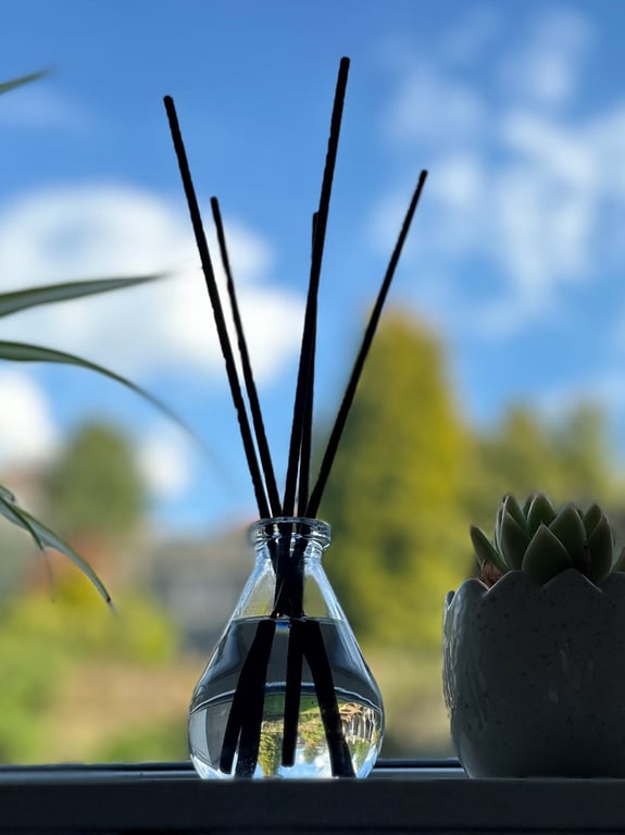 Reed Diffuser