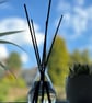 Reed Diffuser - Image 1