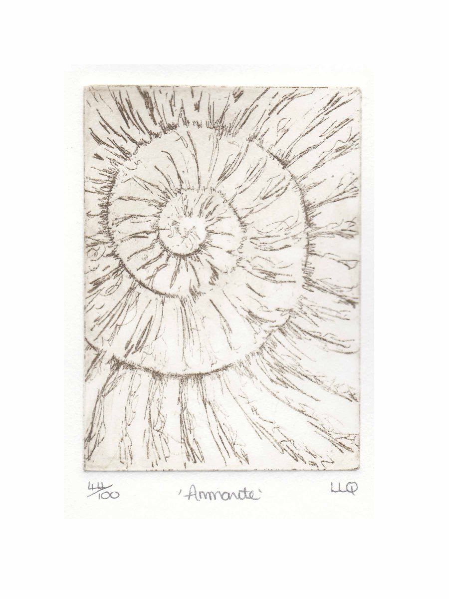 Etching no.44 of an ammonite fossil in an edition of 100