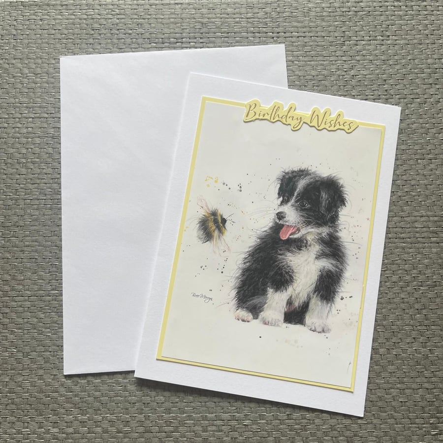 sheepdog birthday card 