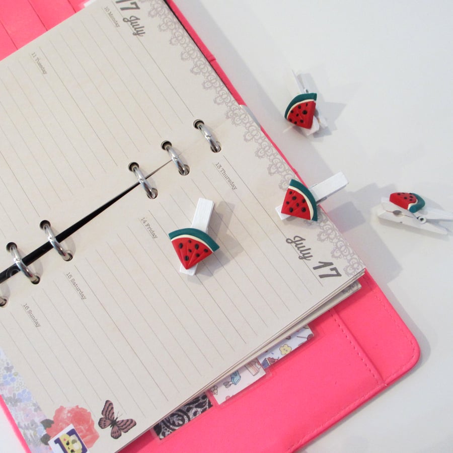 Watermelon fruit slice pegs collection set of 4 - stationery, planner, diary