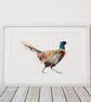 Pheasant Watercolour Print Hand Signed Limited Edition Bird Art