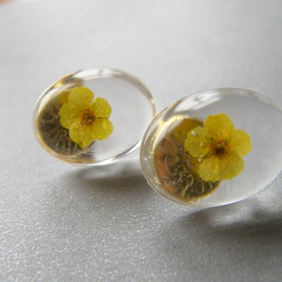 Real Dried Yellow Flower Earrings