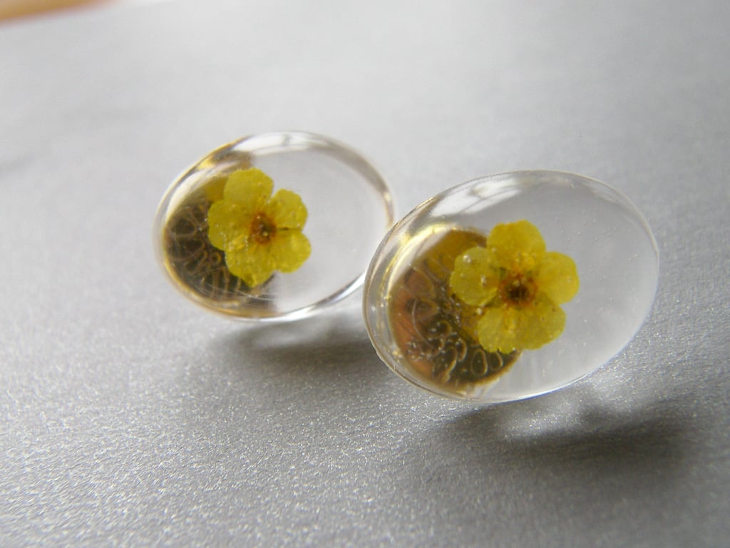 Real Dried Yellow Flower Earrings